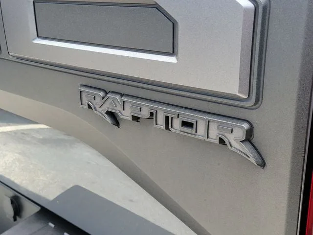 2020 Ford F-150 Raptor photo 7