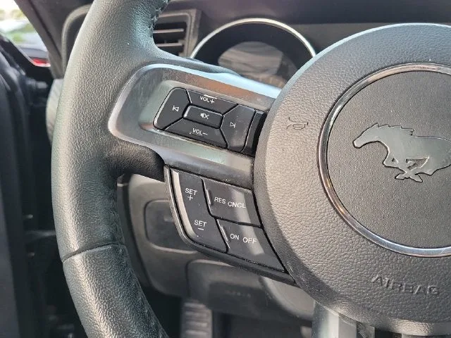 2019 Ford Mustang EcoBoost photo 18