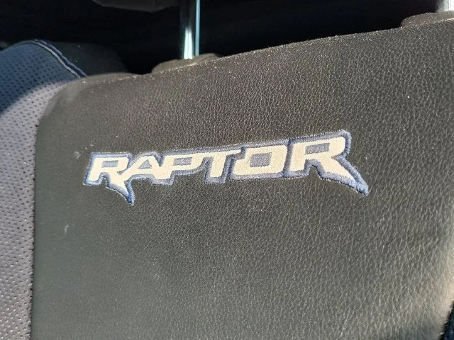 2019 Ford F-150 Raptor photo 15