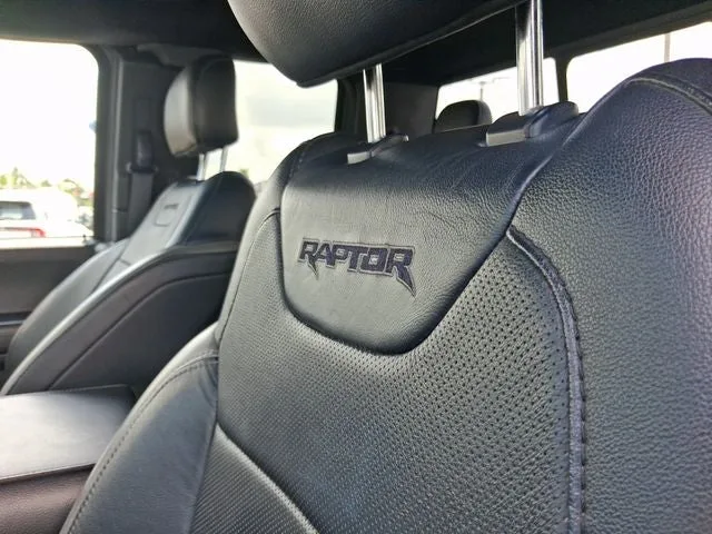 2018 Ford F-150 Raptor photo 12