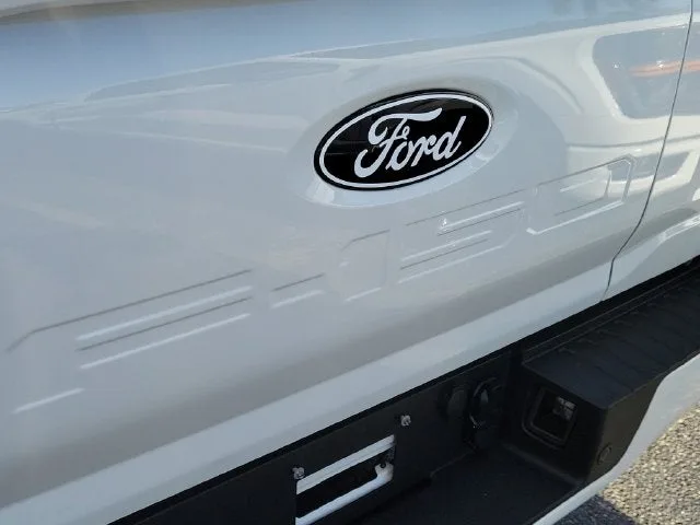 2025 Ford F-150 Platinum photo 6