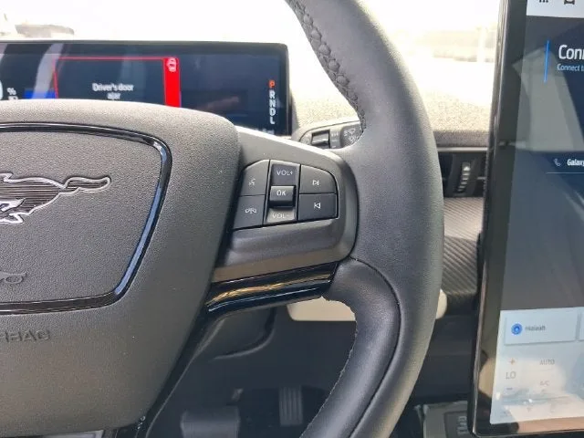 2023 Ford Mustang Mach-E Premium photo 19