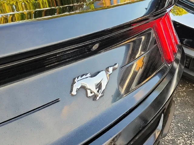 2019 Ford Mustang EcoBoost photo 5