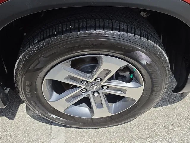 2025 Honda Pilot EX-L photo 6