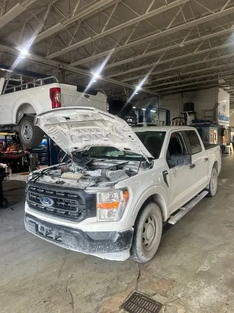 2021 Ford F-150 XL photo 2