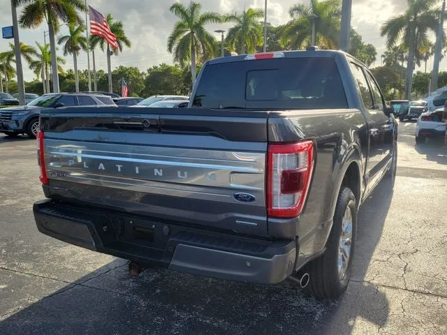 2023 Ford F-150 Platinum photo 3