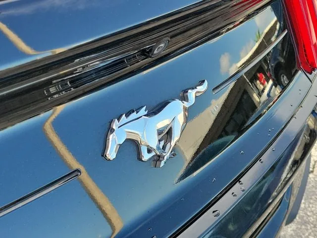 2022 Ford Mustang EcoBoost Premium photo 5