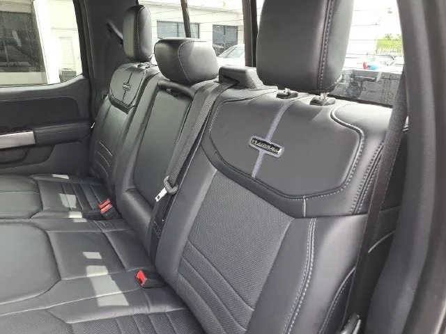 2024 Ford F-150 Platinum photo 10