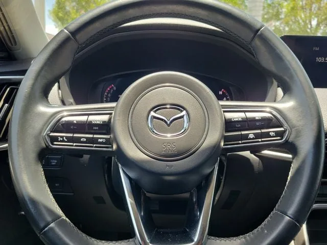 2024 Mazda CX-90 3.3 Turbo S photo 19