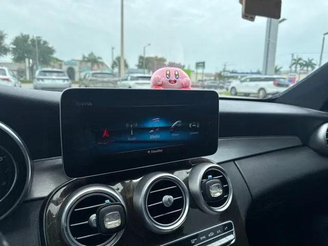 2019 Mercedes-Benz C-Class C 300 photo 9