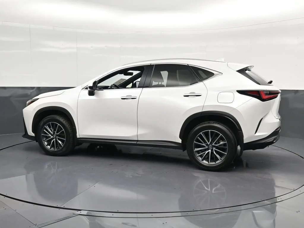 2024 Lexus NX 350 Premium photo 8