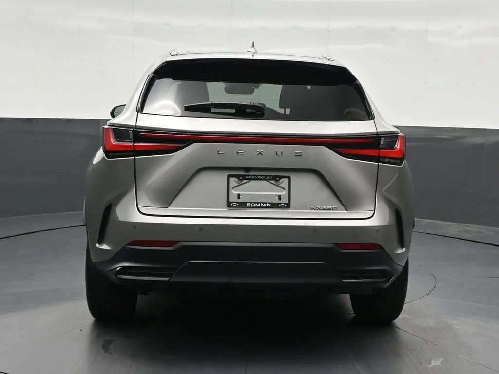 2024 Lexus NX NX 250 Premium photo 4
