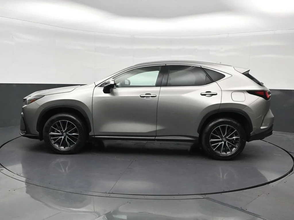 2024 Lexus NX NX 250 Premium photo 2