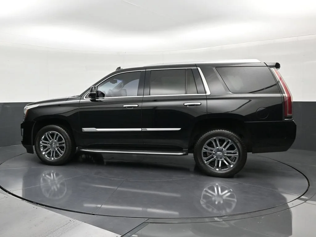 2019 Cadillac Escalade Standard photo 2
