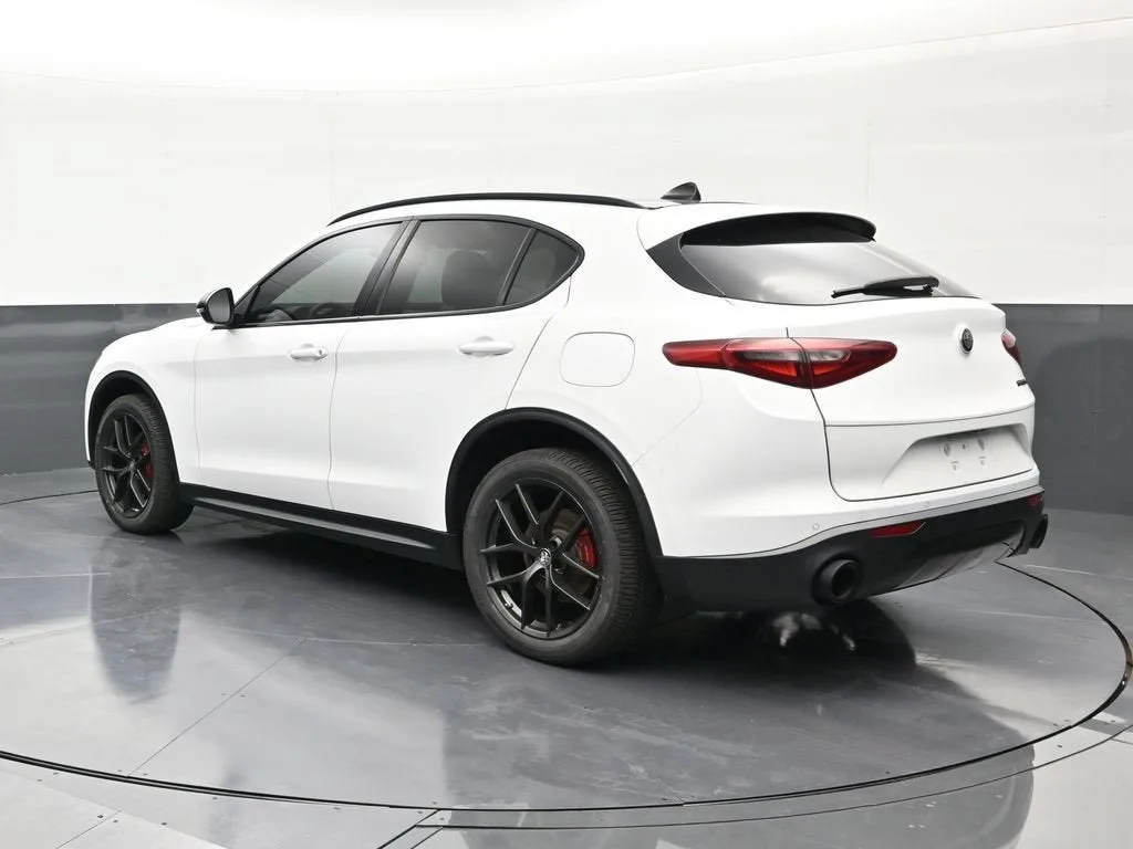 2020 Alfa Romeo Stelvio RWD photo 3