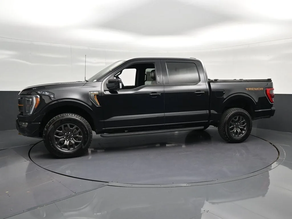 2023 Ford F-150 Tremor photo 7