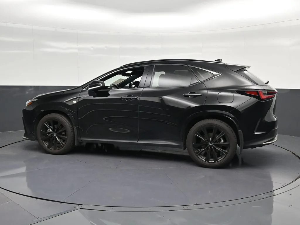 2025 Lexus NX 350 F SPORT Handling photo 8