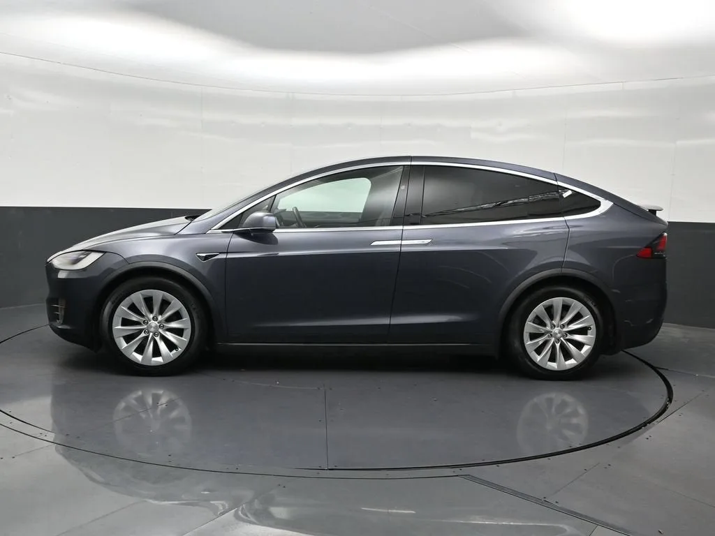 2019 Tesla Model X 75D photo 2