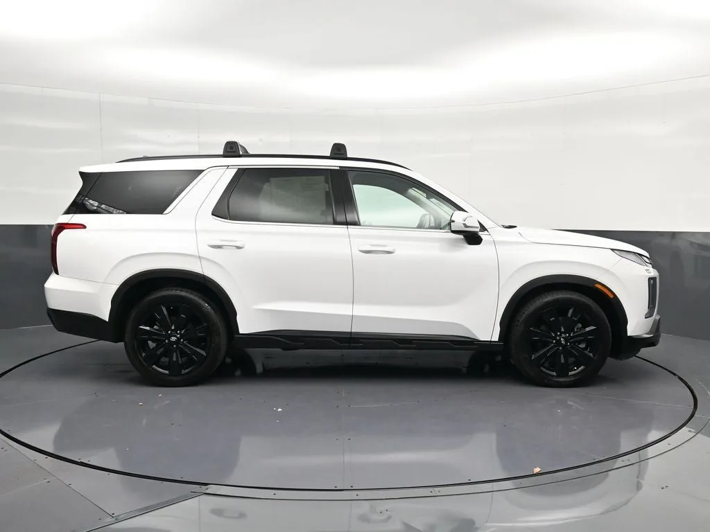 2024 Hyundai Palisade XRT photo 4