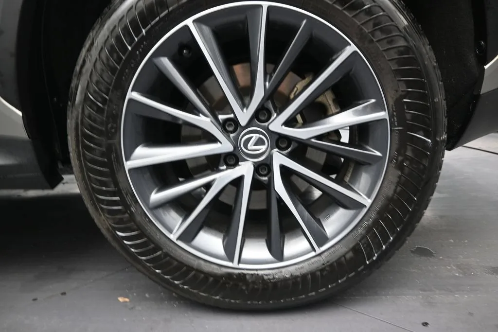 2024 Lexus NX NX 250 Premium photo 10