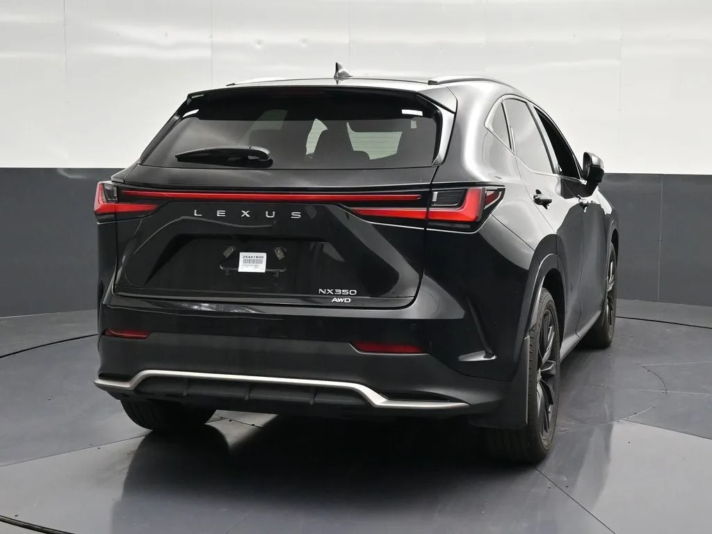 2025 Lexus NX 350 F SPORT Handling photo 2