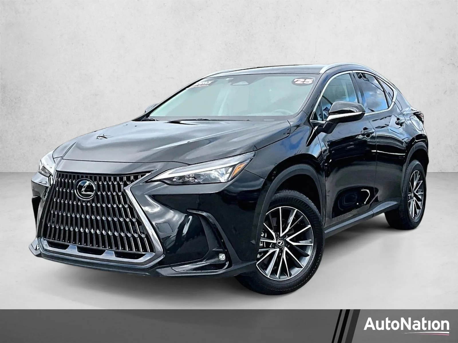 2025 Lexus NX 250