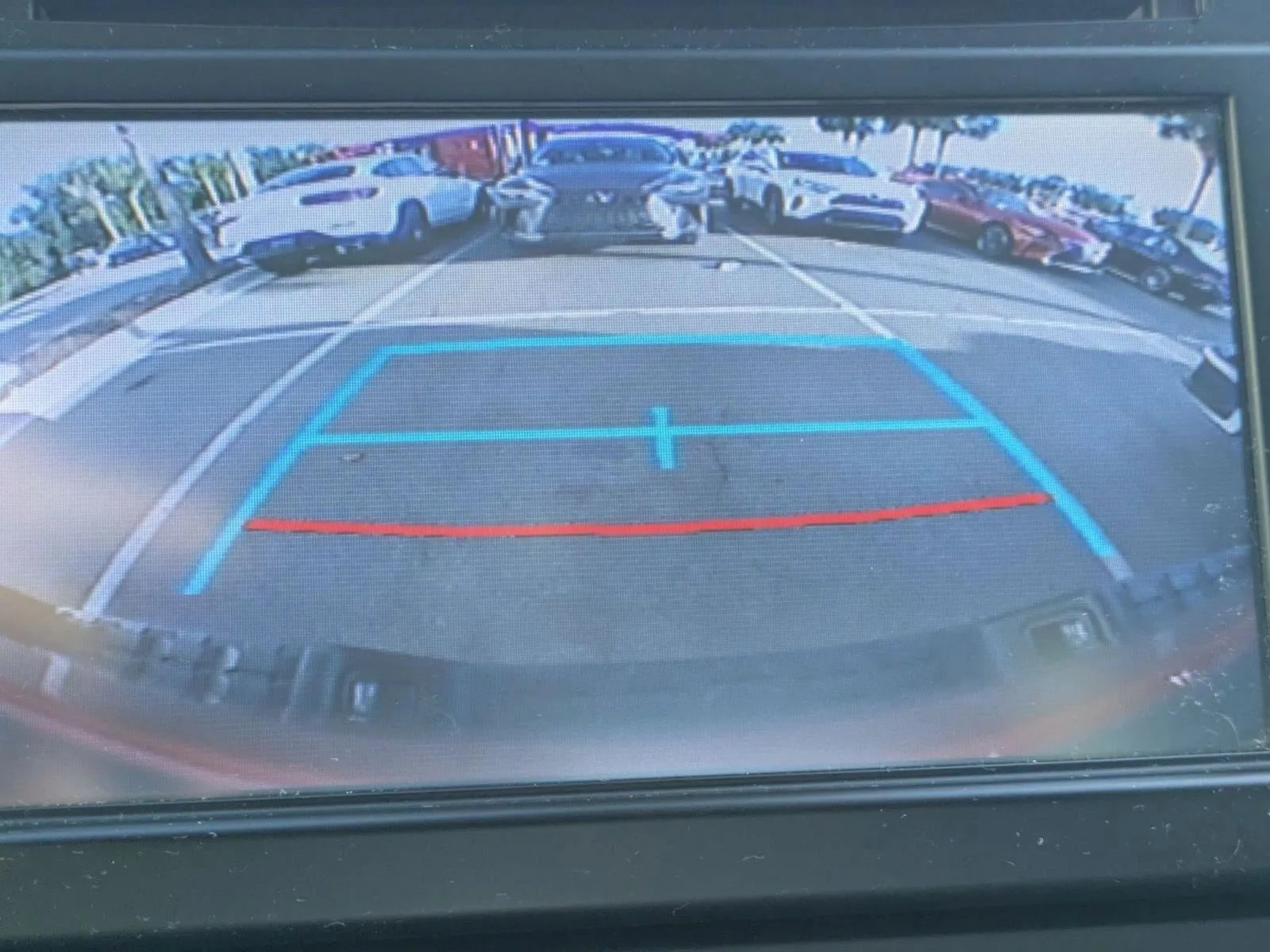 2019 Toyota Tacoma 2WD 2WD SR Access Cab 6' Bed I4 AT (GS) photo 12