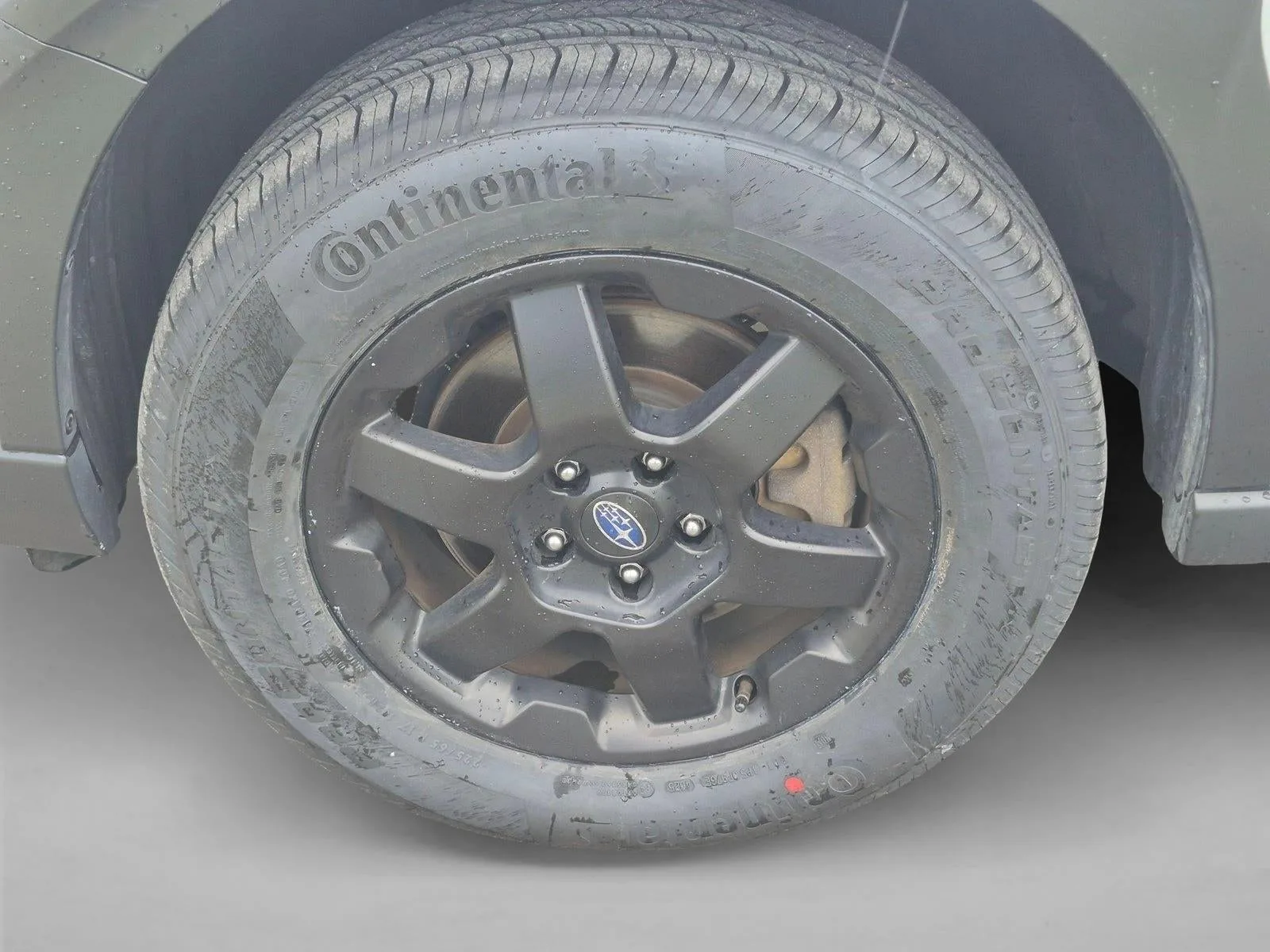 2023 Subaru Outback Wilderness CVT photo 9
