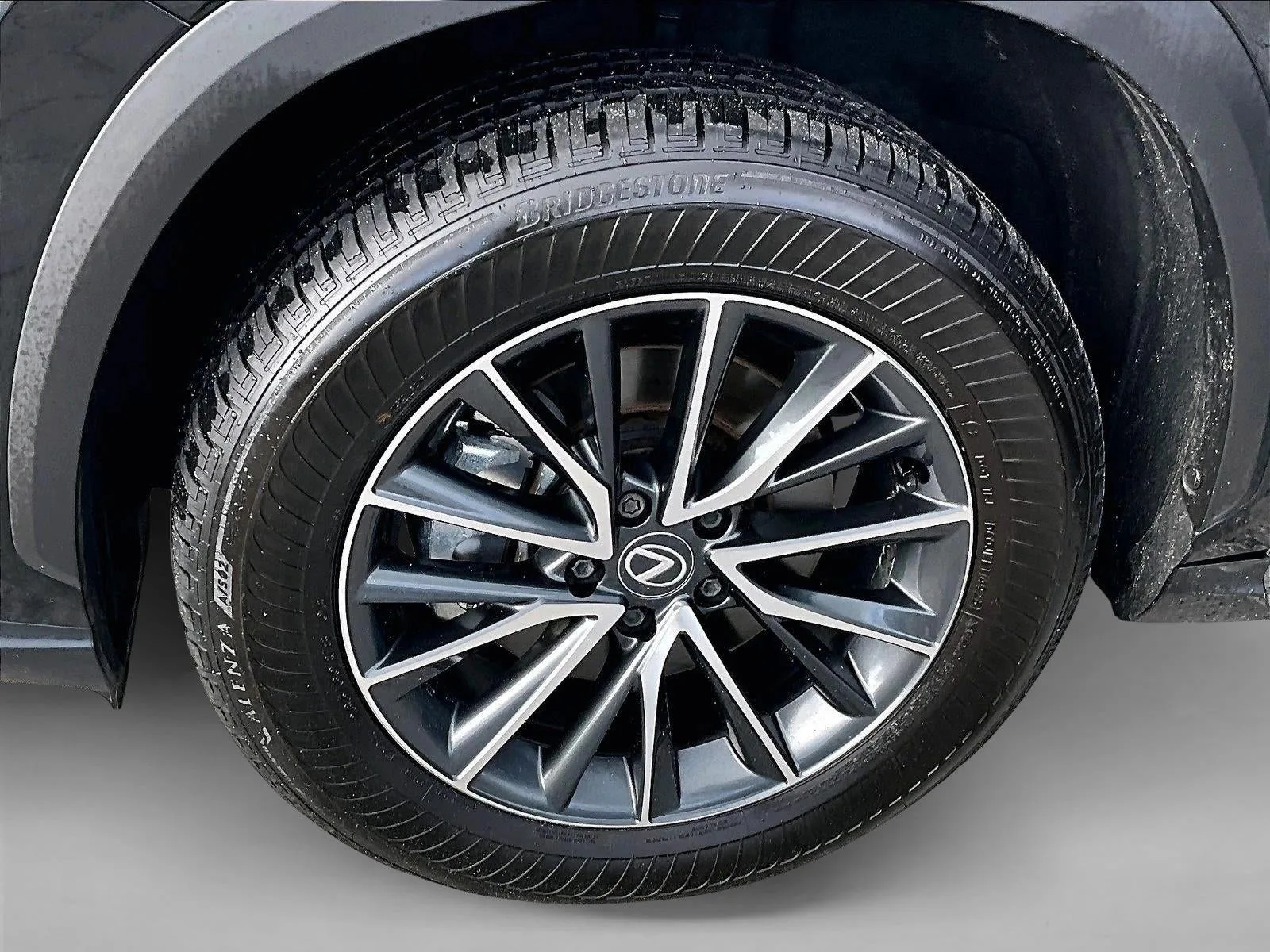 2025 Lexus NX NX 250 photo 10