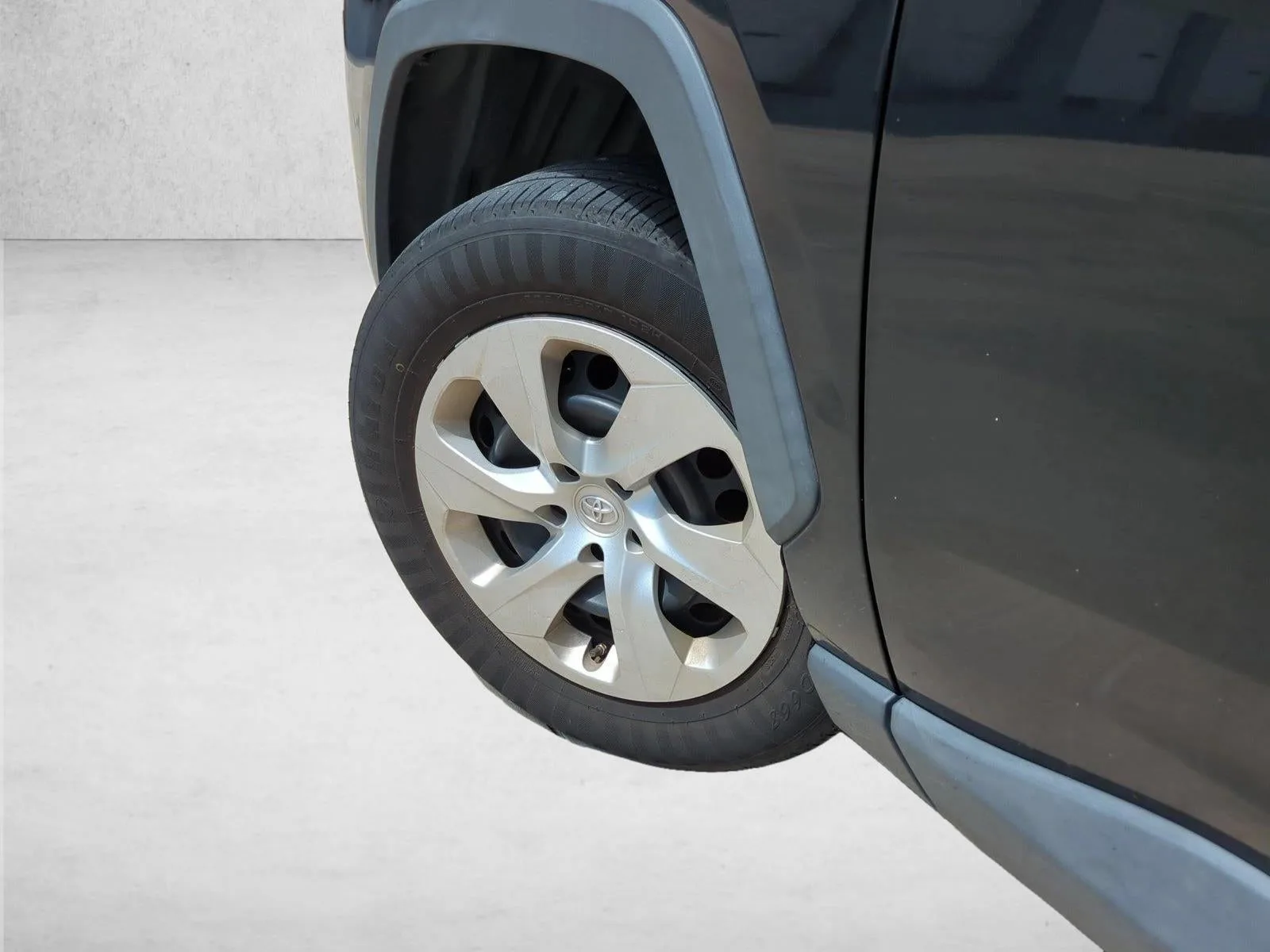 2019 Toyota RAV4 LE FWD (GS) photo 10