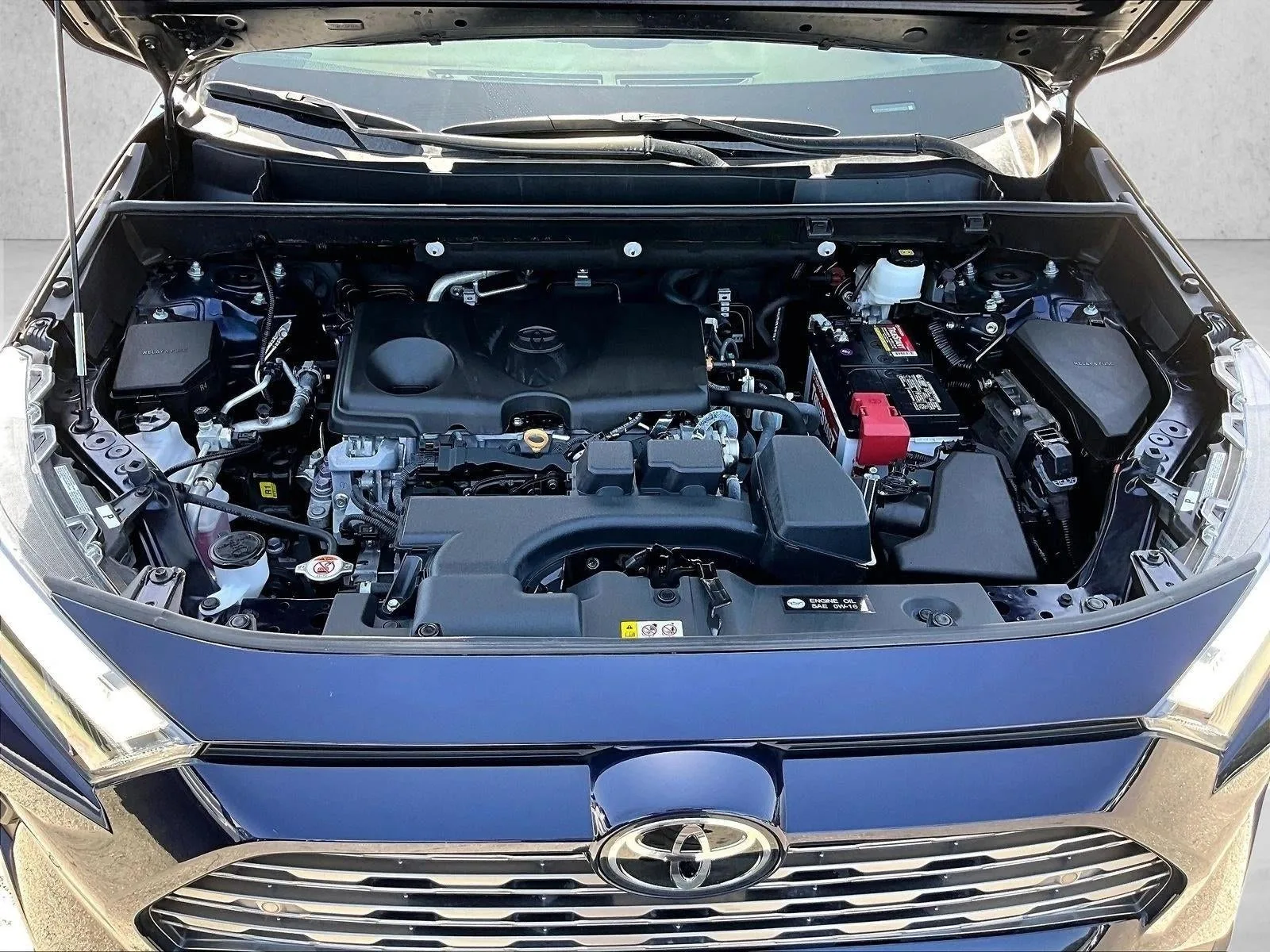 2025 Toyota RAV4 Limited photo 11
