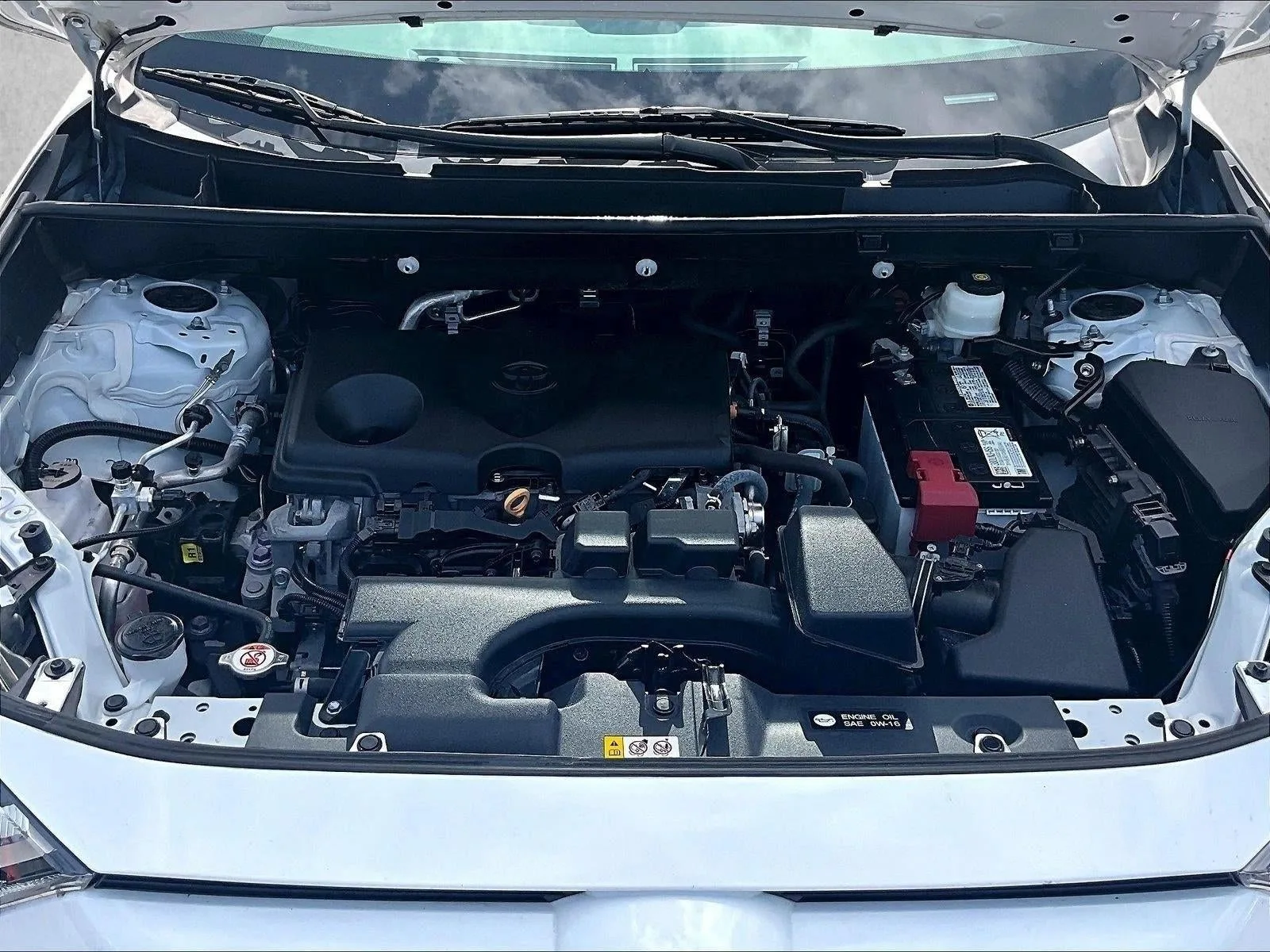 2023 Toyota RAV4 LE photo 11