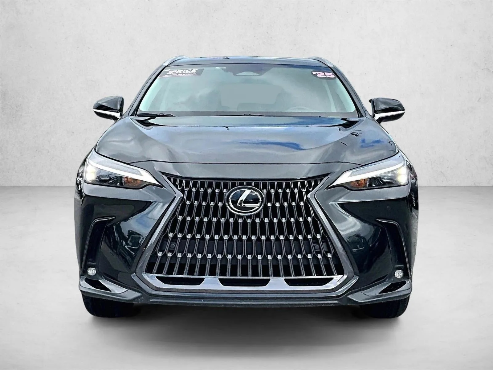 2025 Lexus NX NX 250 photo 3