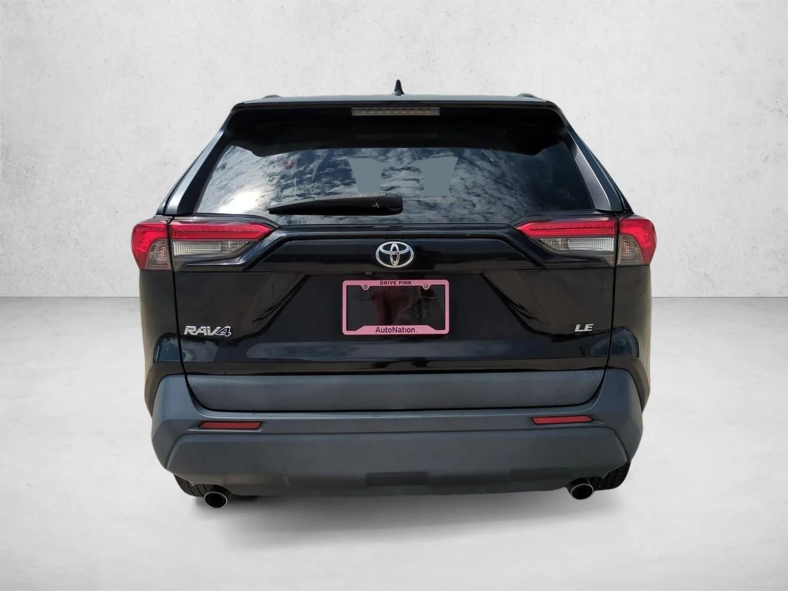 2019 Toyota RAV4 LE FWD (GS) photo 6