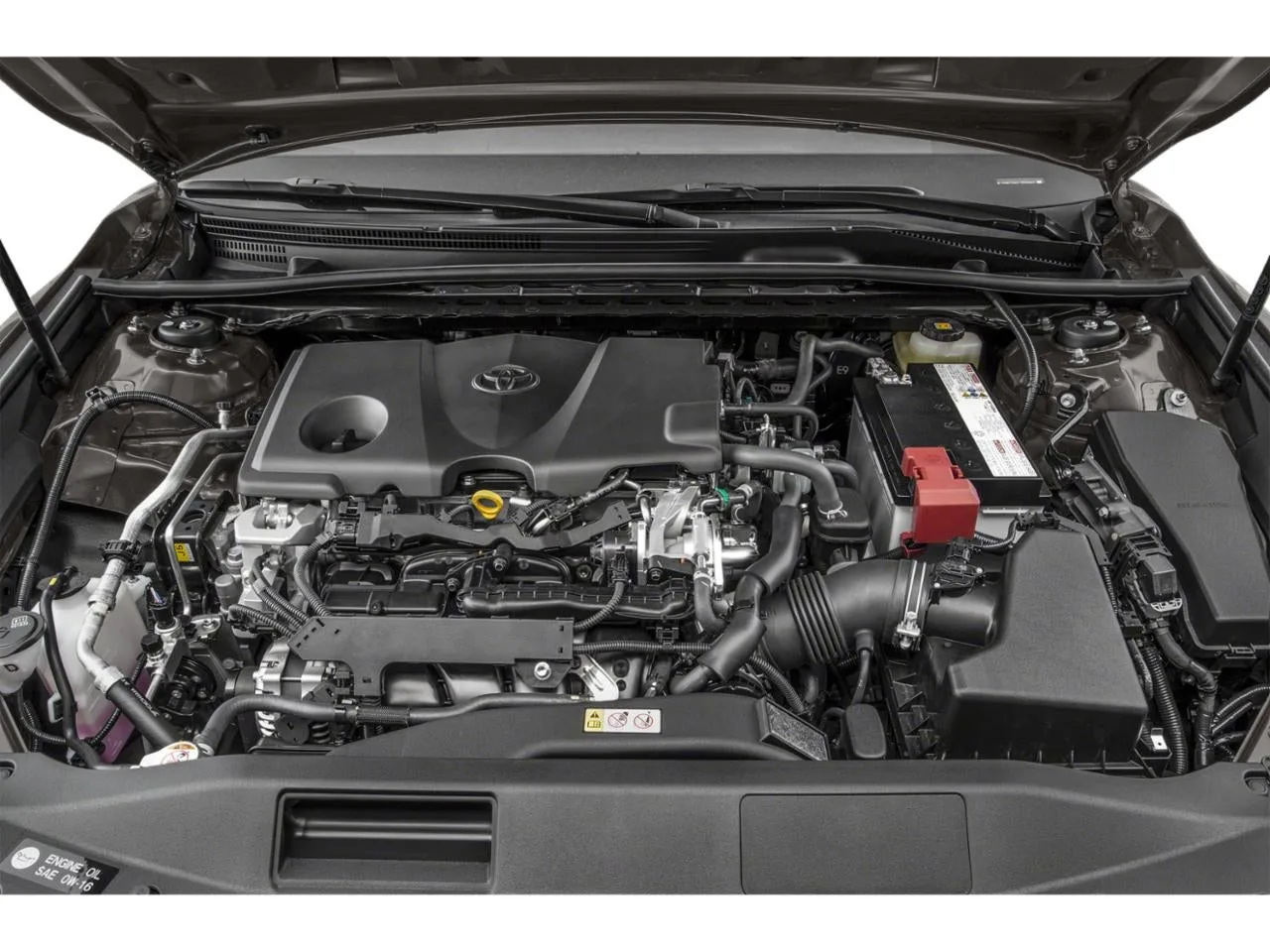 2020 Toyota Camry LE Auto (SE) photo 12