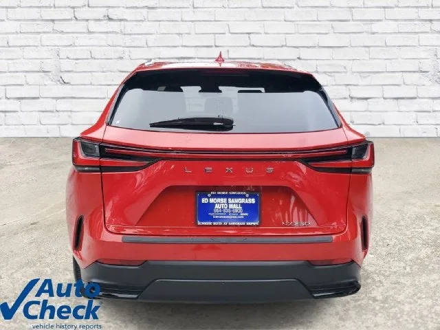 2024 Lexus NX 250 NX 250 photo 3