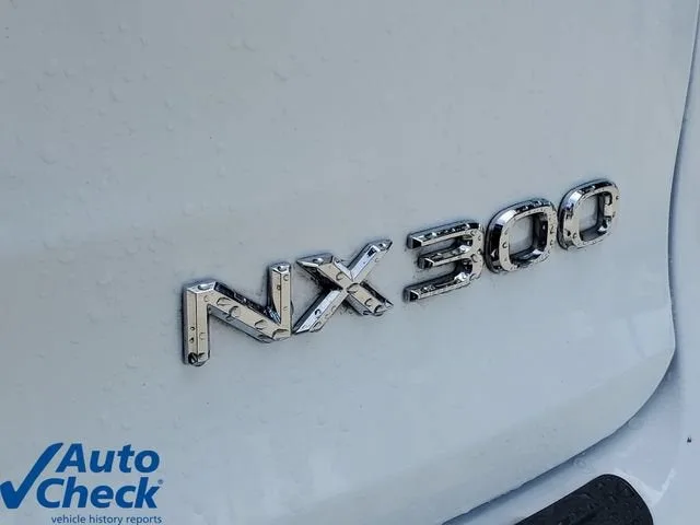 2021 Lexus NX 300 F SPORT photo 9