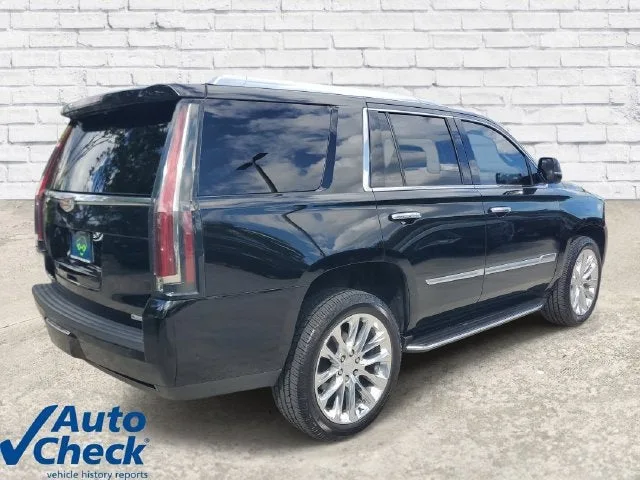 2020 Cadillac Escalade Luxury photo 4