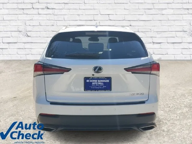 2021 Lexus NX 300 NX 300 photo 3