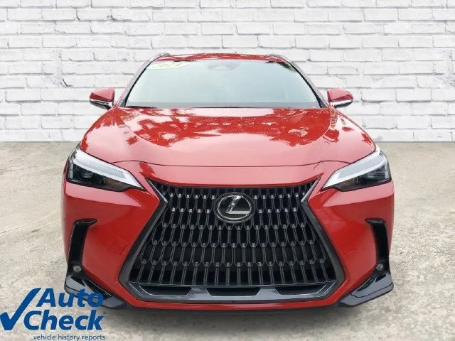 2024 Lexus NX 250 NX 250 photo 6
