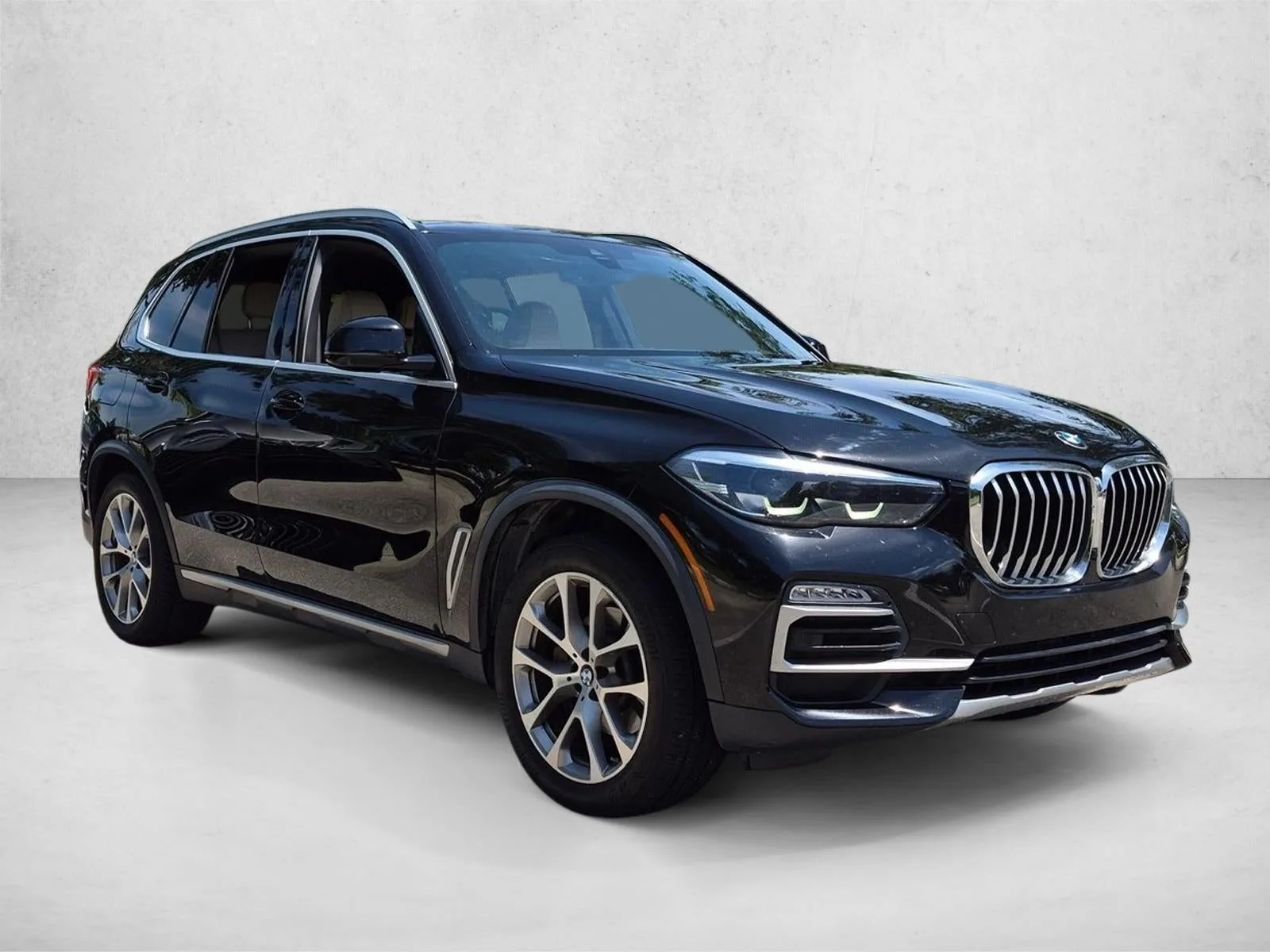 2019 BMW X5 xDrive40i Sports Activity Vehicle photo 3