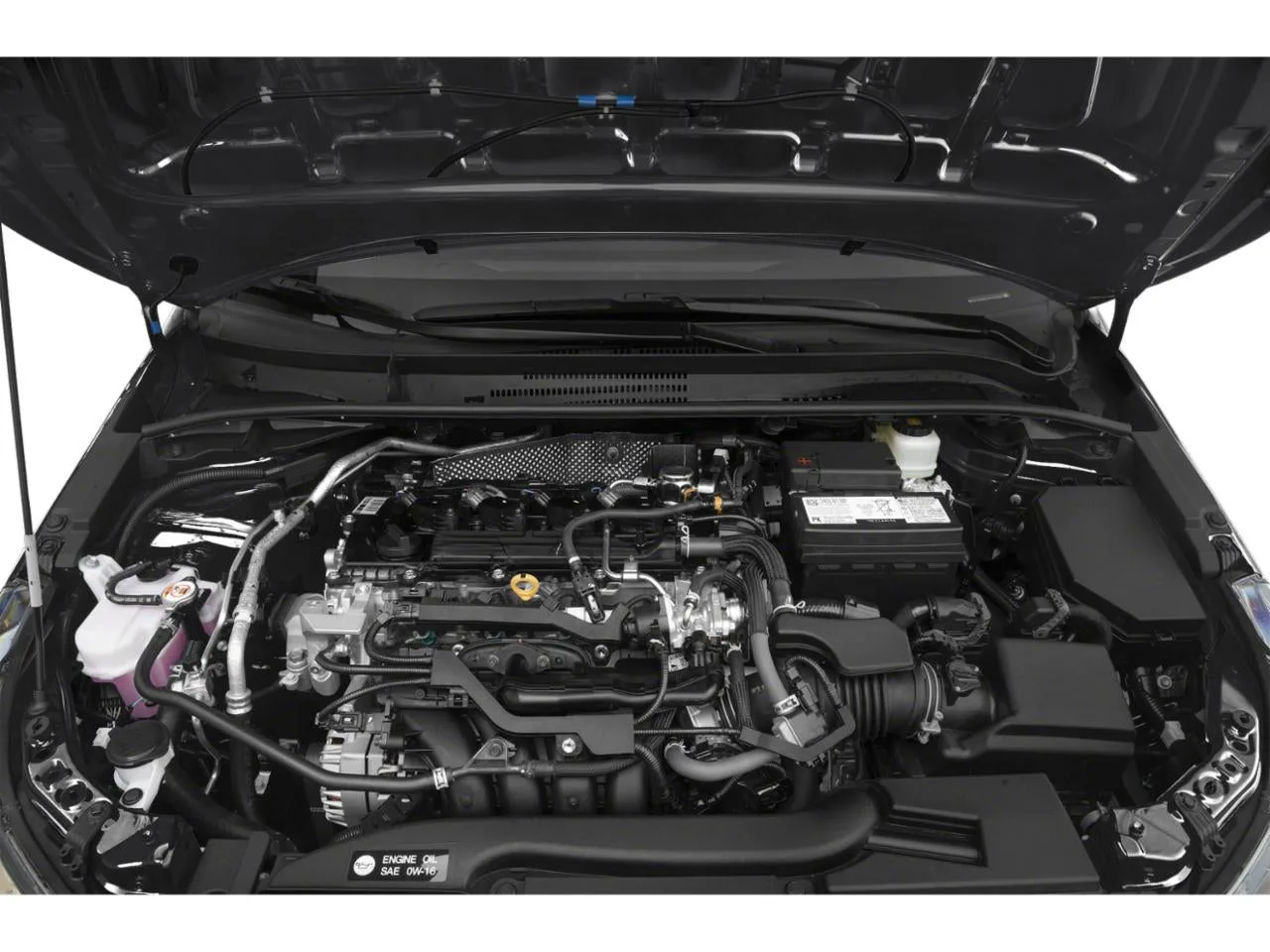 2024 Toyota Corolla SE CVT (Natl) photo 11
