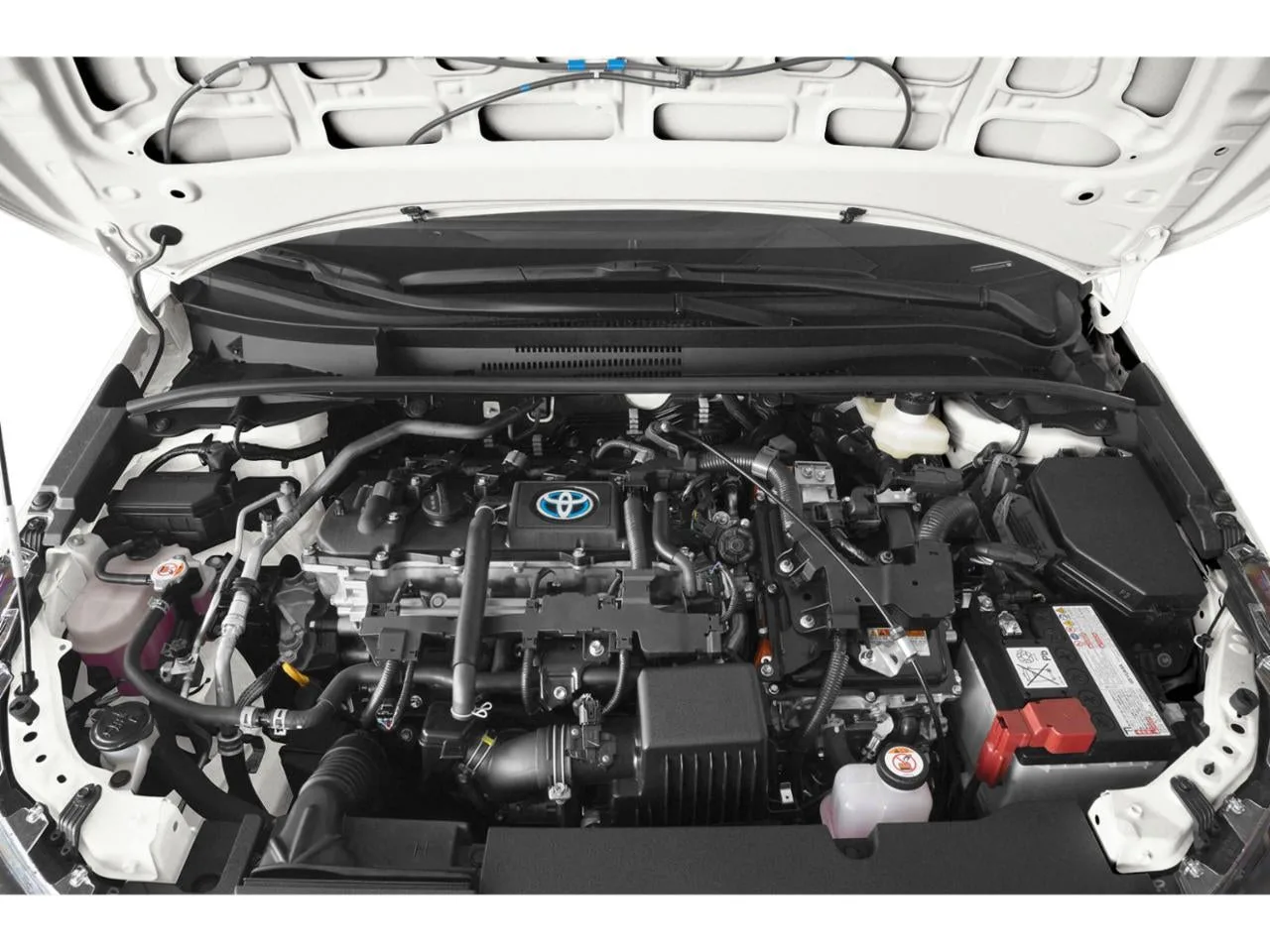 2024 Toyota Corolla Hybrid LE FWD (Natl) photo 11
