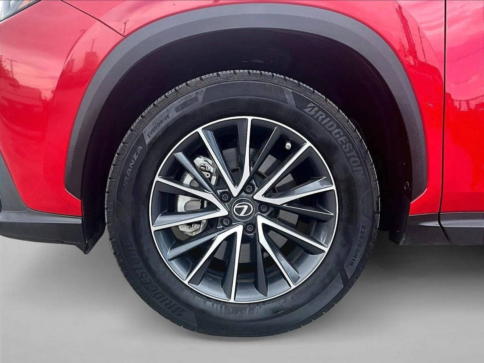 2024 Lexus NX 250 Premium photo 10