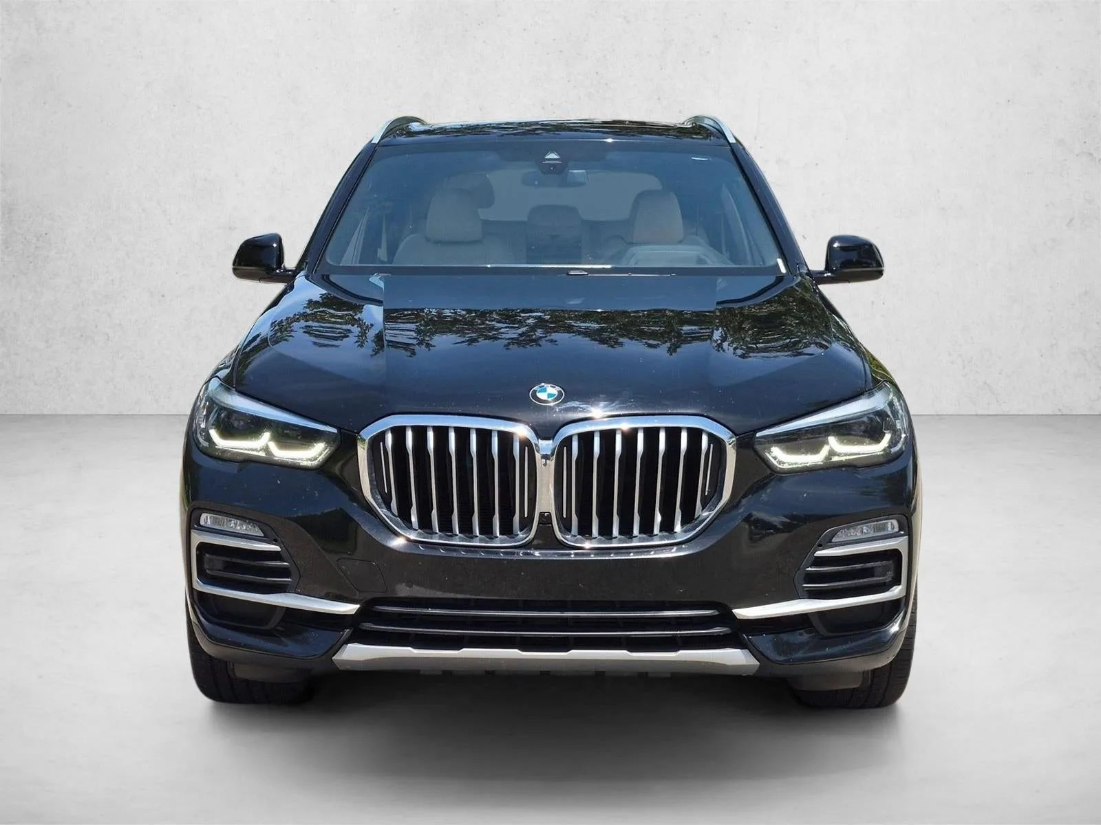 2019 BMW X5 xDrive40i Sports Activity Vehicle photo 2