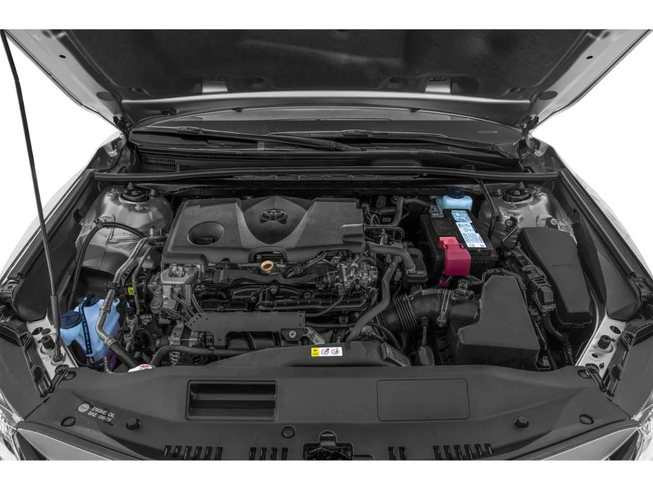 2021 Toyota Camry LE Auto (SE) photo 11