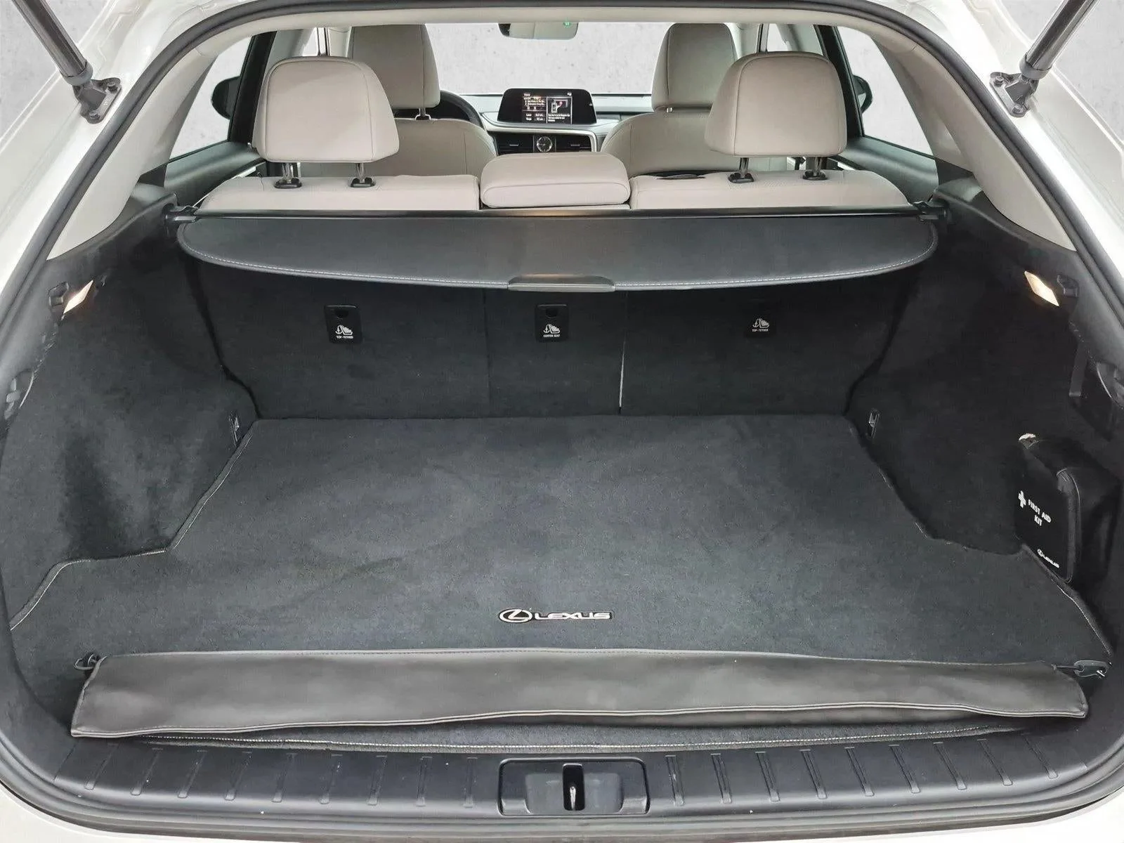 2021 Lexus RX 350 photo 6