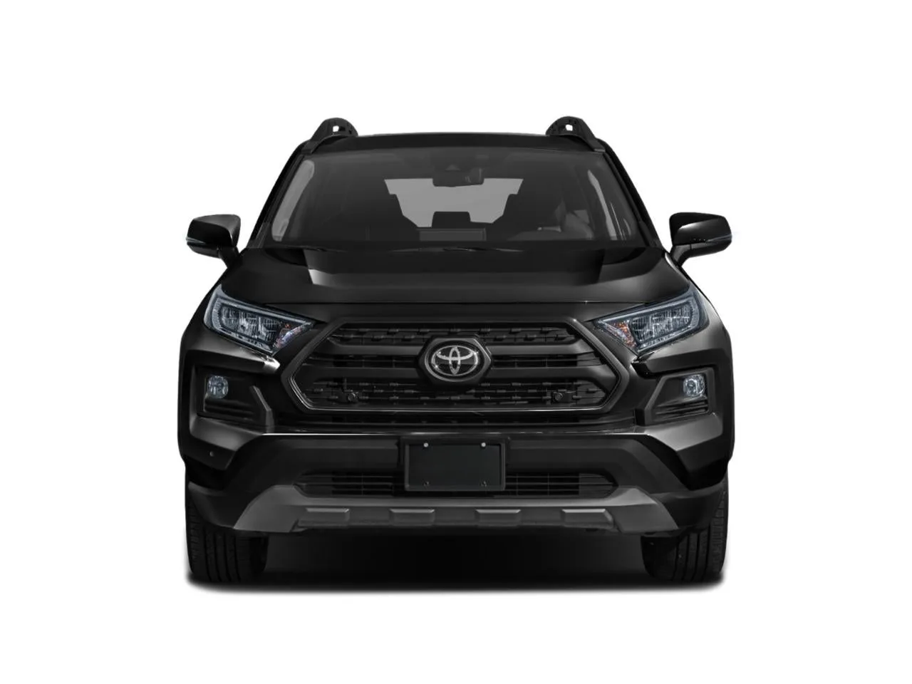 2021 Toyota RAV4 Adventure AWD (Natl) photo 9