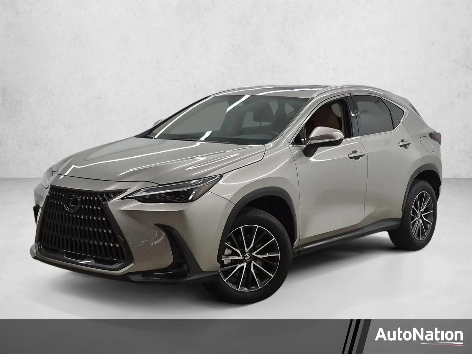2024 Lexus NX 250