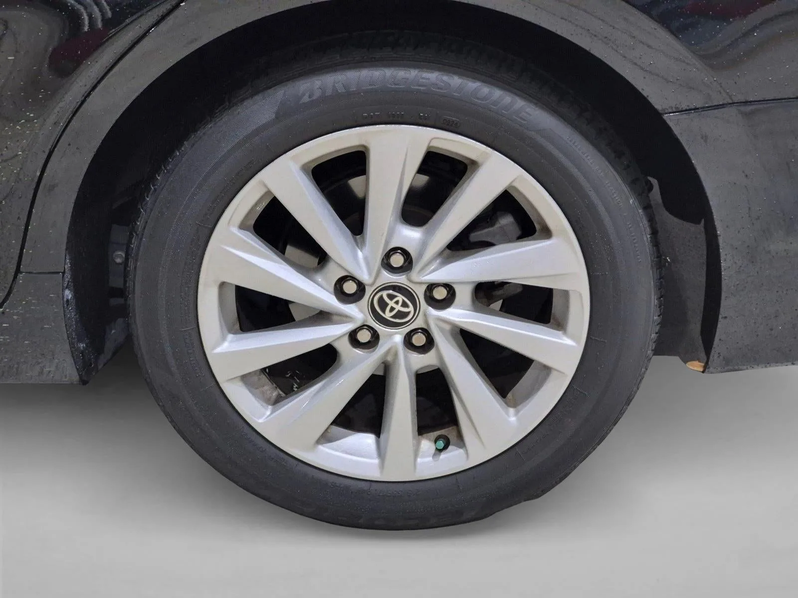 2024 Toyota Camry LE Auto (SE) photo 5